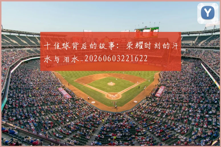 十佳球背后的故事:荣耀时刻的汗水与泪水_20260603221622