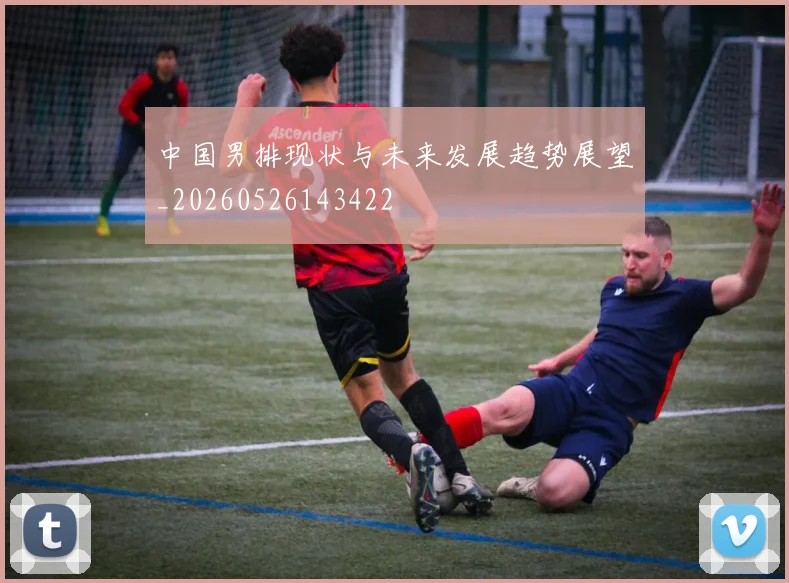 中国男排现状与未来发展趋势展望_20260526143422